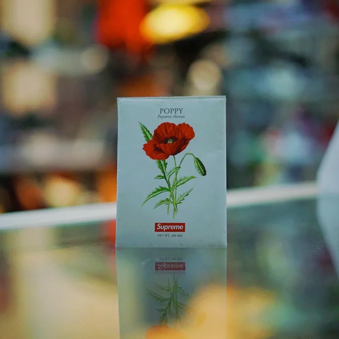 tanaman biji kopi supreme